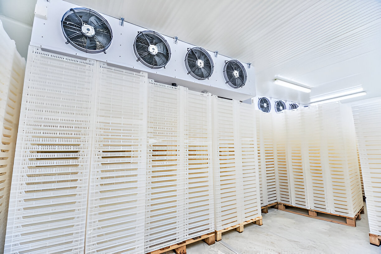 steptodown.com262035-1